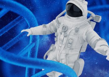 The Obtain: Safer house journey, and generative AI in video video games