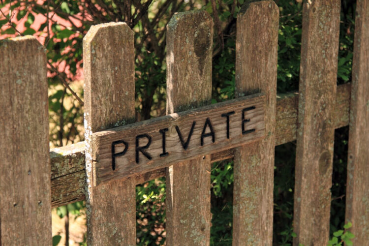 Want Your Privateness: Right here Are 9 Low cost Methods To Block Your Neighbor’s View