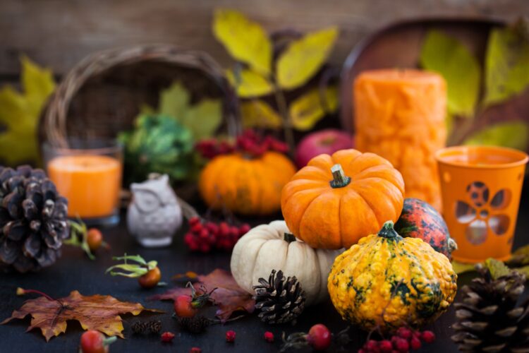 Deliver In The Fall Season With Flare With These Fall Decor Concepts