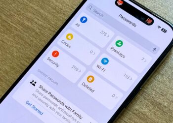 Apple Passwords cannot maintain bank cards like 1Password can
