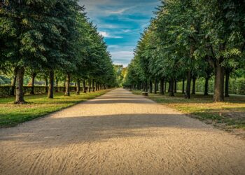 Direct Indexing: Rising Funding Technique Amongst The Rich