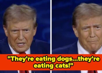 Folks Are Memeing Donald Trump’s Viral Pet Declare