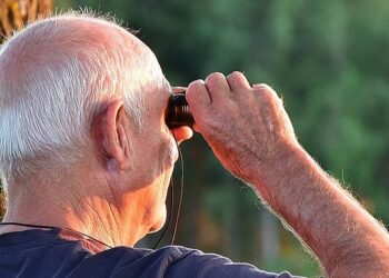 2025 Social Safety Value of Dwelling Adjustment (COLA) Projection