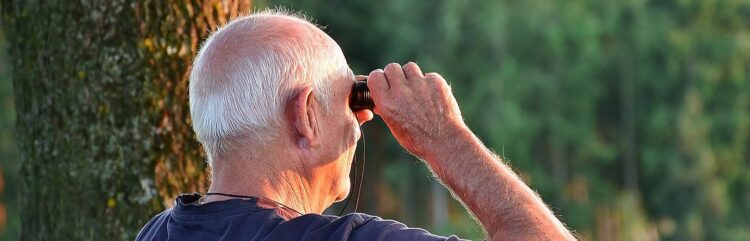 2025 Social Safety Value of Dwelling Adjustment (COLA) Projection