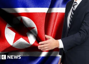 Agency hacked after unintentionally hiring North Korean cyber prison