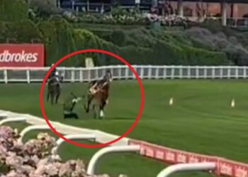 Horse racing information 2024, Cox Plate hopeful By way of Sistina throws jockey James McDonald at trackwork, video