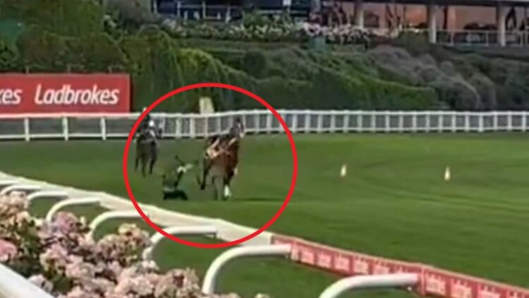 Horse racing information 2024, Cox Plate hopeful By way of Sistina throws jockey James McDonald at trackwork, video