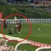 Horse racing information 2024, Cox Plate hopeful By way of Sistina throws jockey James McDonald at trackwork, video