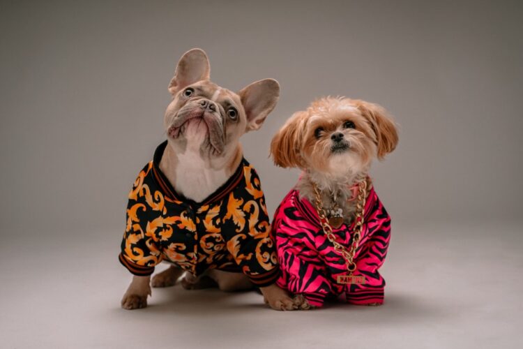 What Canine Homeowners Actually Suppose About Designer Canine Vogue?