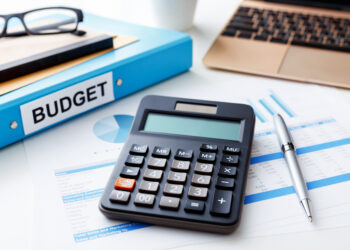 Budgeting for One: Good and Enjoyable Methods to Handle Your Funds Solo