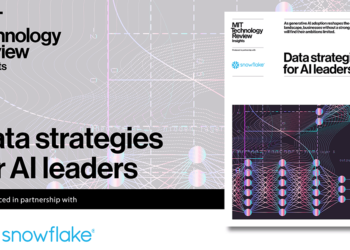 Information methods for AI leaders