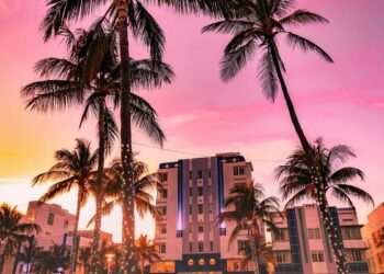 Greatest Web Suppliers in Miami Seashore, Florida