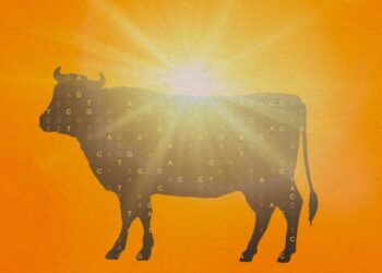 The Obtain: CRISPR’s local weather guarantees, and defending forests with tech