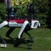 On patrol at Mar-a-Lago, robotic canines have their second
