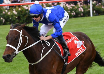 Winx delivers new foal, colt out of Snitzel