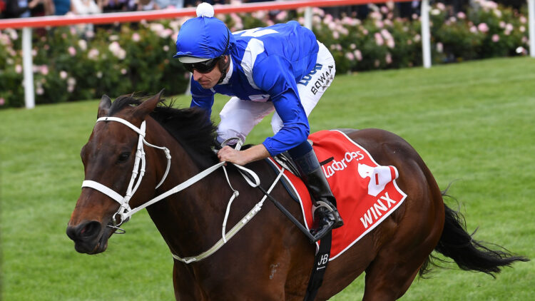 Winx delivers new foal, colt out of Snitzel