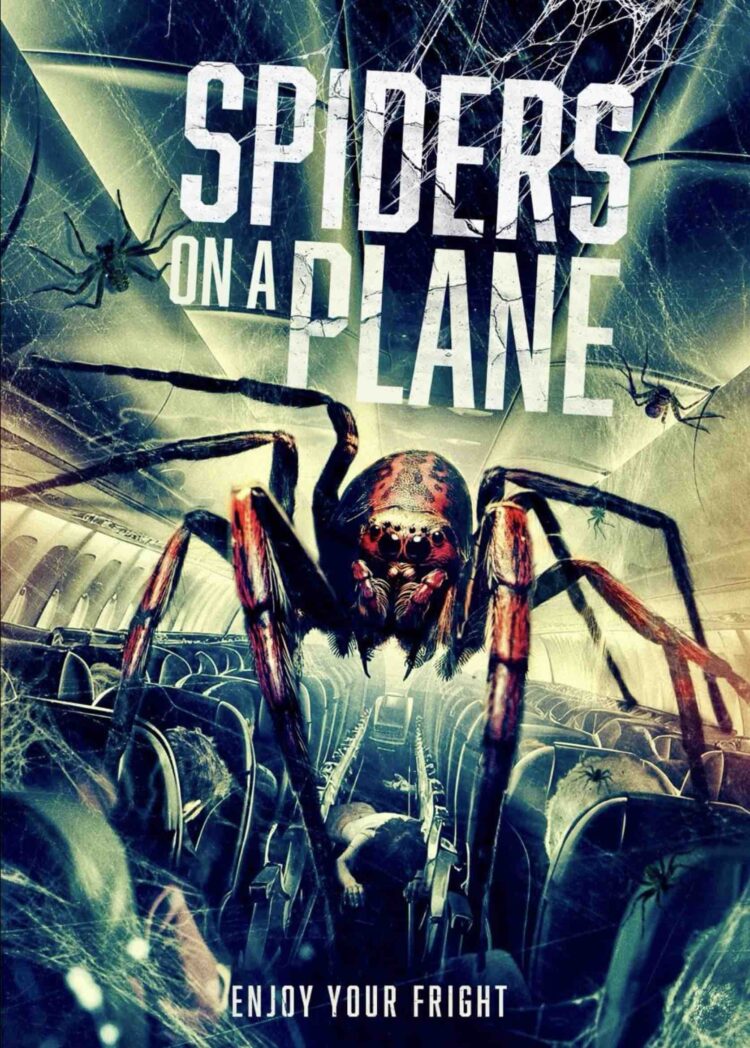 SPIDERS ON A PLANE Arachnids assault passengers! Assessment – trailer – free on YouTube