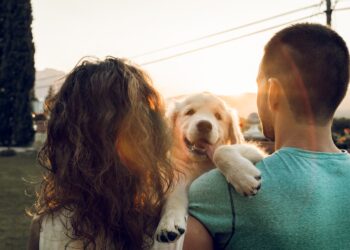 What Is A DINKSWAD and How Costly Is This Life-style?