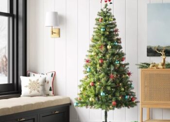 Save 50% off Christmas Timber at Goal: Wondershop Pre-lit Alberta Spruce 6.5ft. Tree solely $27.50 (Reg. $50!), plus extra!