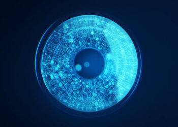 Claude AI to course of secret authorities knowledge by way of new Palantir deal