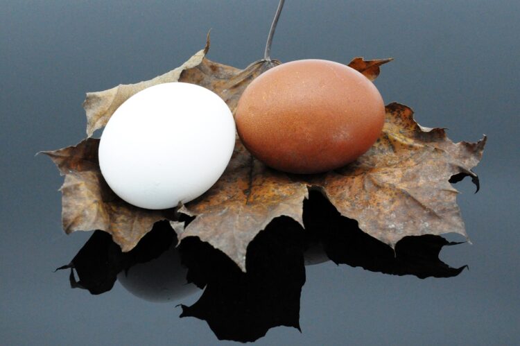 A Internet Value Equal To 25X Bills Is Not Sufficient To Retire Early