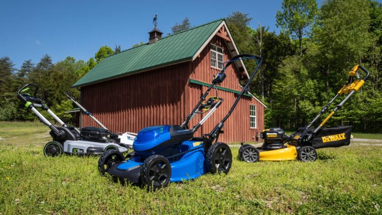 Greatest Electrical Garden Mower of 2024
