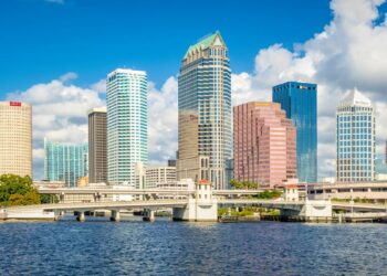 Finest Web Suppliers in Tampa, Florida