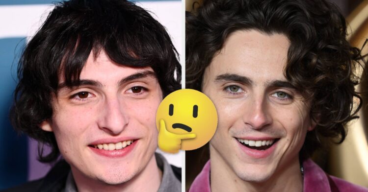 Finn Wolfhard Timothee Chalamet Look Alike Story
