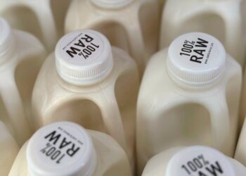 The Obtain: Chicken flu, and waterless concrete for the moon