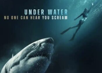 INTO THE DEEP Richard Dreyfuss and a Nice White shark – evaluate