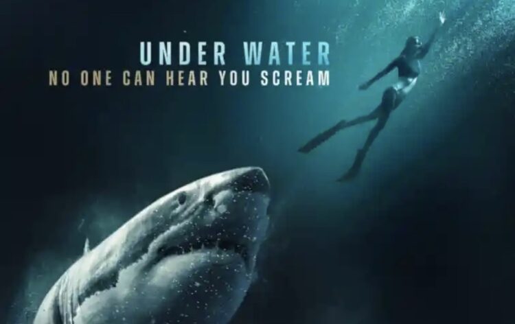 INTO THE DEEP Richard Dreyfuss and a Nice White shark – evaluate