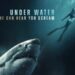 INTO THE DEEP Richard Dreyfuss and a Nice White shark – evaluate