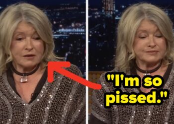 Martha Stewart Says Former Parole Officer Prevented Saturday Evening Stay Internet hosting