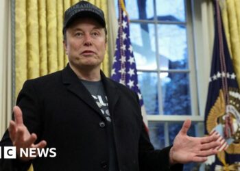 Elon Musk denies ‘hostile takeover’ of presidency in shock White Home look