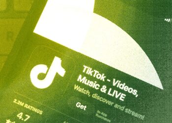 TikTok Stole Our Hearts, however Can It Final?