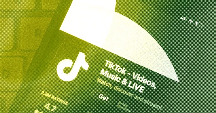 TikTok Stole Our Hearts, however Can It Final?