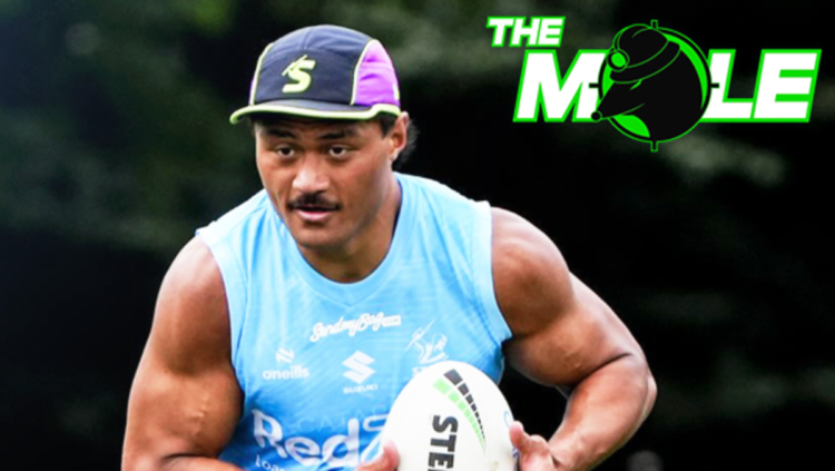 NRL Season Preview 2025: Melbourne Storm spherical 1 beginning 17 predictions, workforce listing, newest information, odds to win comp