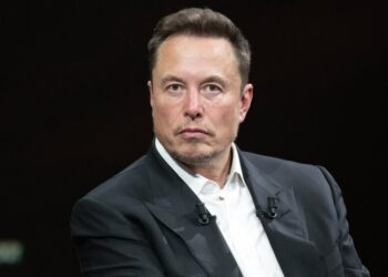 Elon Musk denies curiosity in TikTok as app’s US future stays unsure