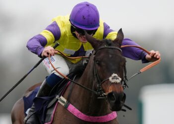 At present on Sky Sports activities Racing: Nemean Lion and Blueking d’Oroux headline Nationwide Spirit Hurdle at Fontwell on Sunday | Racing Information