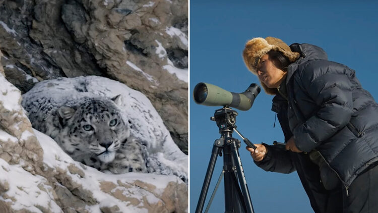‘Snow Leopard Sisters’ Speak Disappearance Of Animals In Clip Of Movie