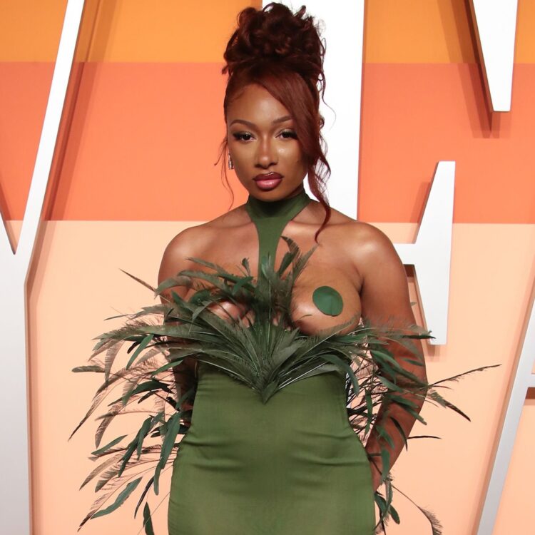 Megan Thee Stallion After-Get together Purple Carpet Trend