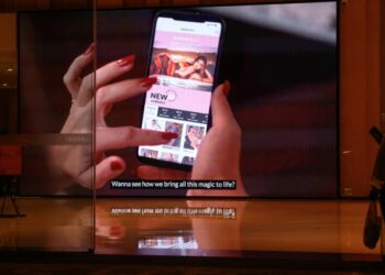 Temu and Shein slash US advert spending as commerce warfare hits