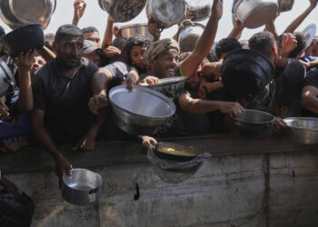 Berlin says state of affairs in Gaza ‘insufferable’, requires ceasefire: minister