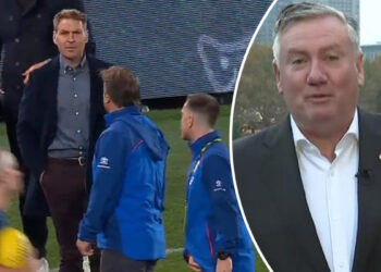 Luke Beveridge, Kane Cornes conflict earlier than Western Bulldogs vs Geelong Cats sport, video