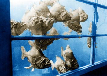 Piranha 1978 horror film opinions