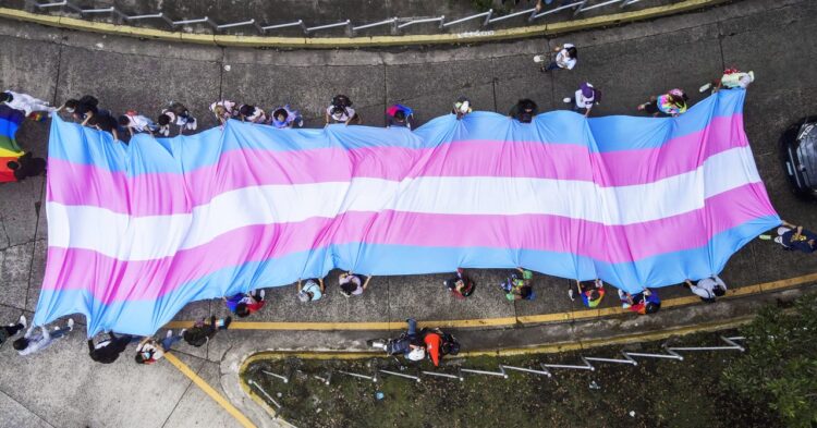 How you can Advocate for Trans Rights in Your Group