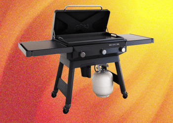 The 5 Greatest Griddles and Flat-Prime Grills of 2025, Examined and Reviewed