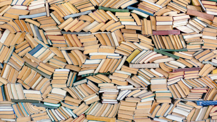 Anthropic destroyed hundreds of thousands of print books to construct its AI fashions