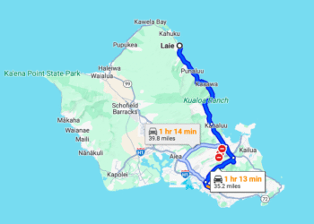 The Price of Supercommuting: Approach Extra Than Simply Fuel Cash