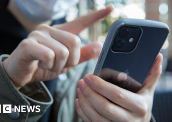 UK backs down in Apple privateness row, US says